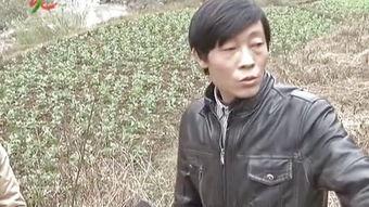 爆料大连新闻联播今天,重大事件揭秘与民生关注盘点 第3张 爆料大连新闻联播今天,重大事件揭秘与民生关注盘点 第3张