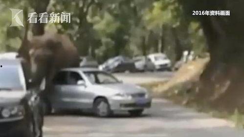 玩车网红爆料视频,玩车界最新爆料视频深度解析 第1张 玩车网红爆料视频,玩车界最新爆料视频深度解析 第1张